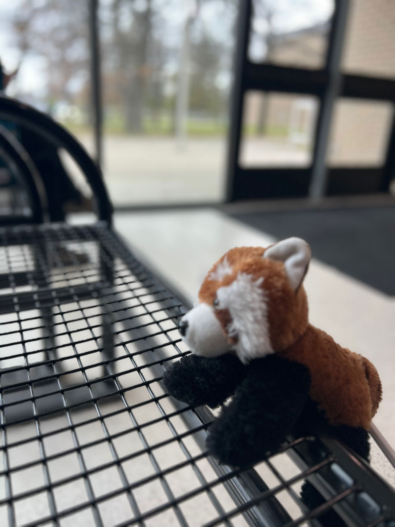 A red panda stuffy falling of a metal mesh bench